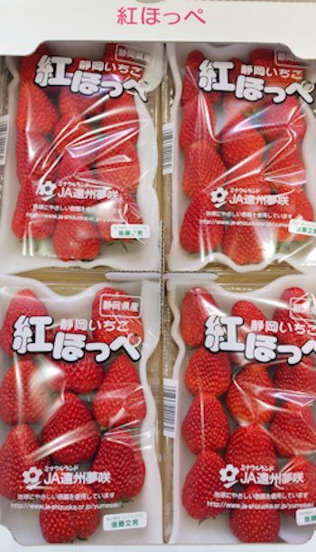 静岡県産 紅ほっぺ 東京青果株式会社