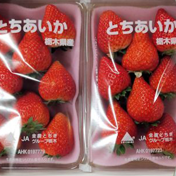 栃木県産各種 いちご 東京青果株式会社