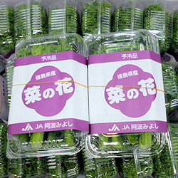 各産地の 菜の花 かき菜 東京青果株式会社