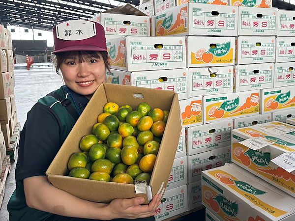 個包装！味本位木成り栽培【清美タンゴール】赤秀 2L 5kg ※味センサー選別済