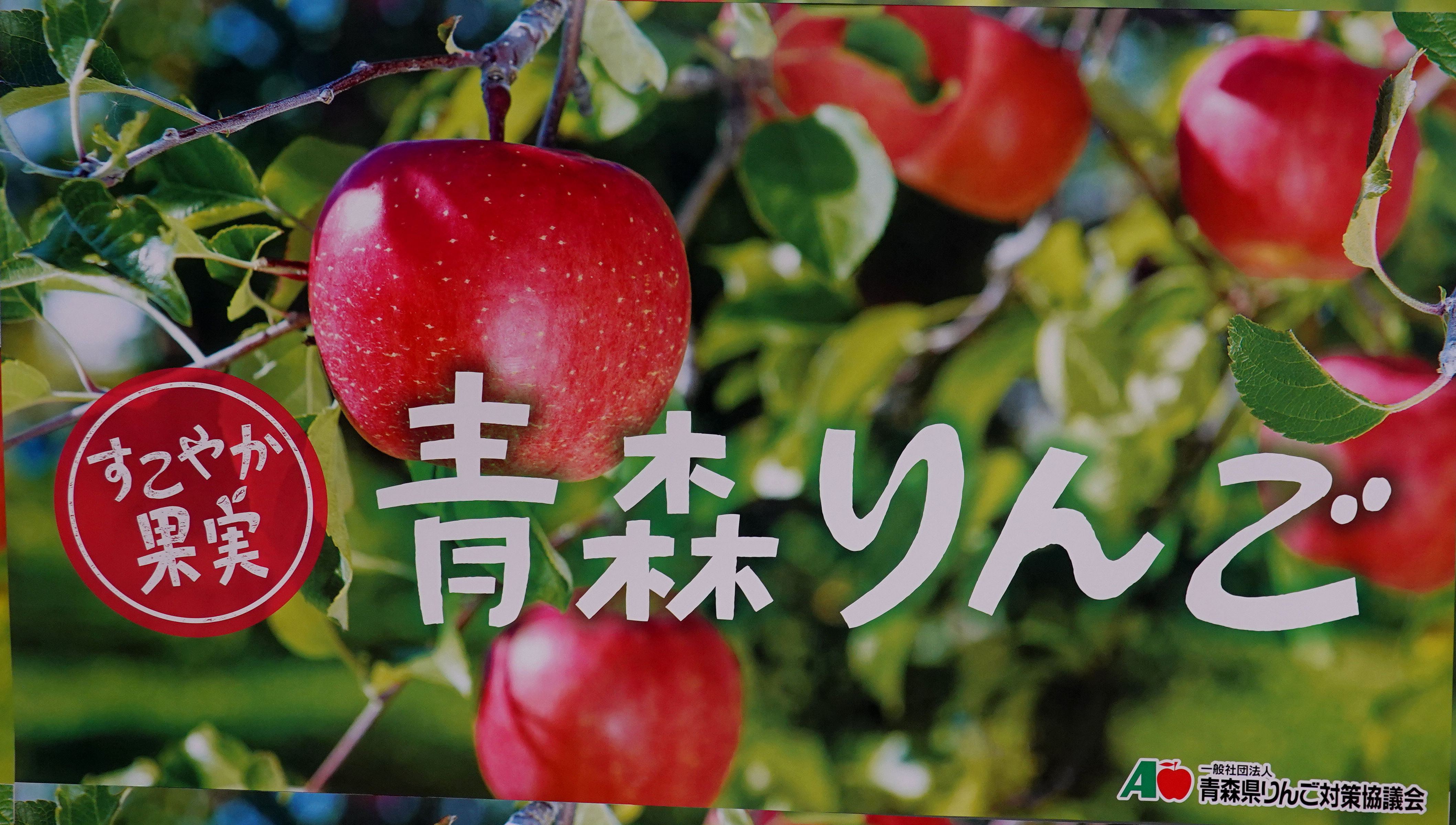 ★全６品★ コリンチャンス関連品　本物　クラブ支給品　コリンチャンス　まとめ売り 青森県産『りんご』トップセールス - 東京青果株式会社
