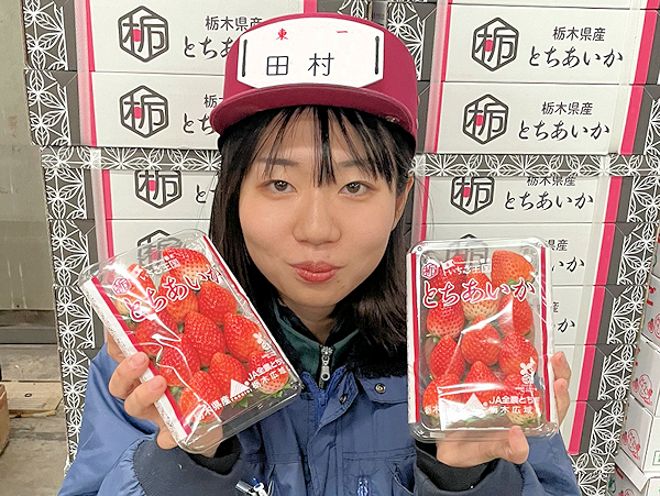 栃木県・茨城県『いちご』 - 東京青果株式会社