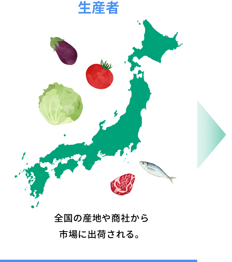 生産者 全国から生鮮食料品を集め、卸売市場へ出荷しています