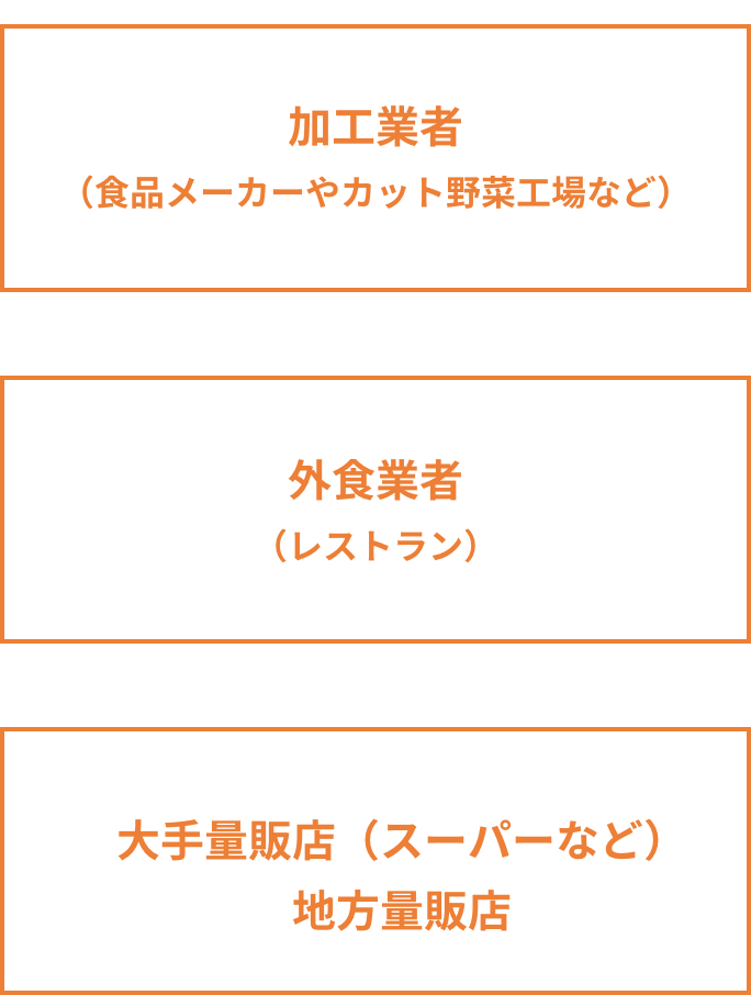 加工業者（食品メーカーやカット野菜工場など、外食業者（レストラン）、大手量販店（スーパーなど）地方量販店